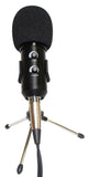 MIC-15100 Live Microphone Set Professional Recording - KobeUSA
