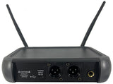 MIC-22110 Wireless Microphone with 1 Headset and 1 Lavalier - KobeUSA