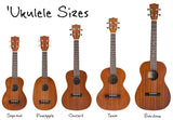 INS-10105 UKELELE SET TENOR - KobeUSA