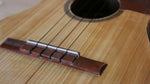 INS-20265  Venezuelan Cuatro Strings - KobeUSA
